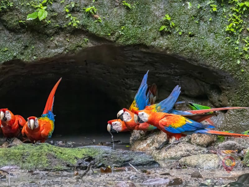 Yasuní National Park