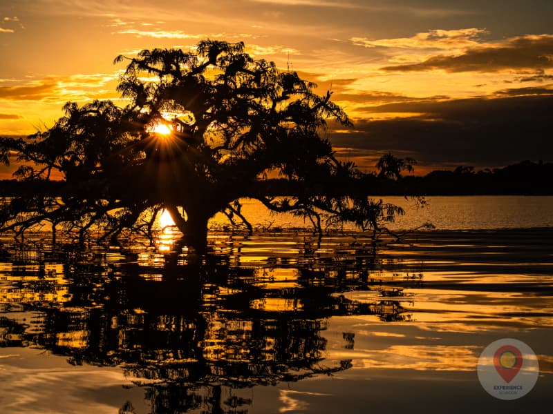 Cuyabeno Wildlife Reserve