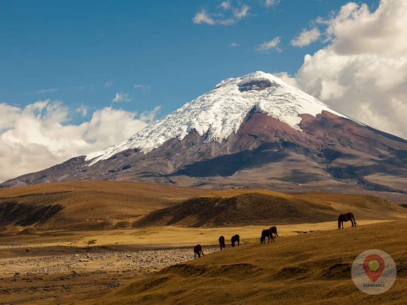 Cotopaxi, Ecuador