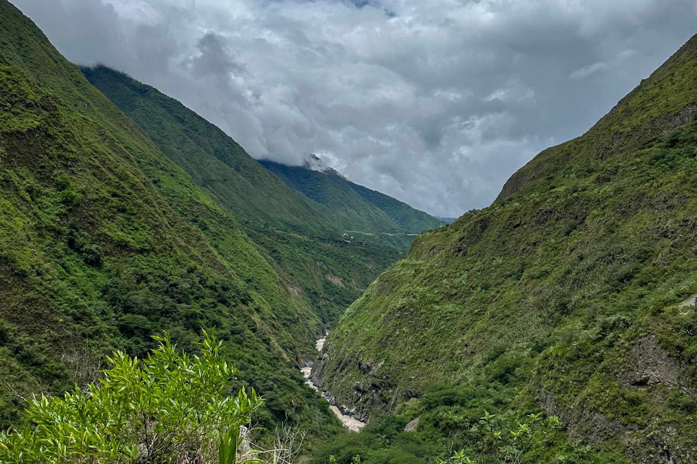 Chocó Andino highlight 6