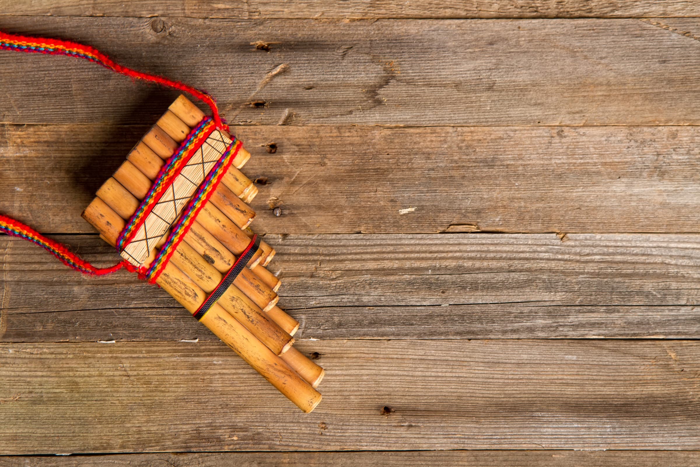 Culture gallery image 11