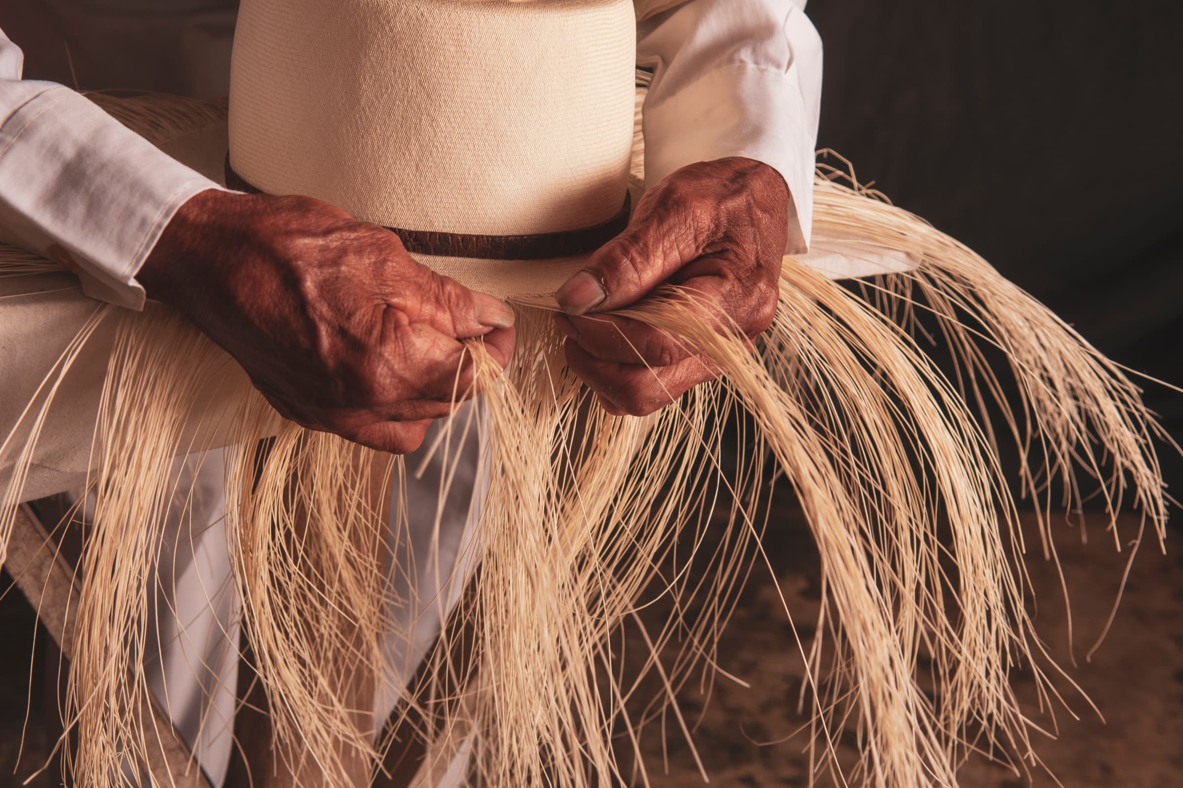 Culture gallery image 12