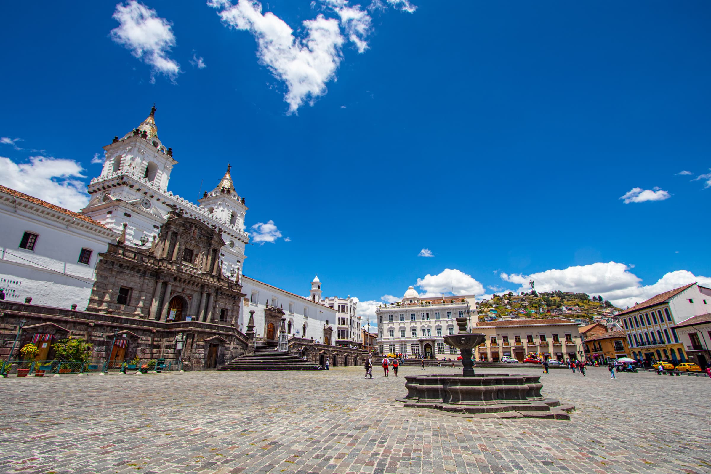 Culture gallery image 14