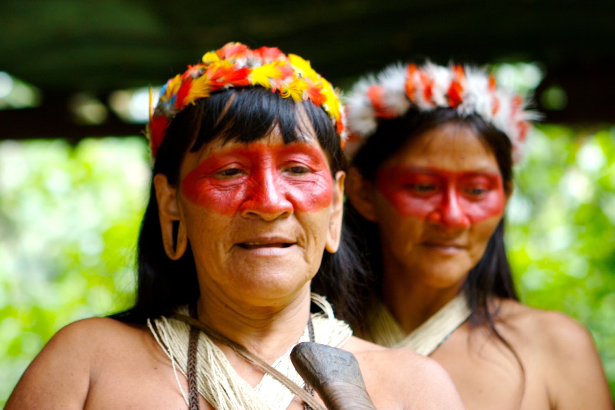 Culture gallery image 4