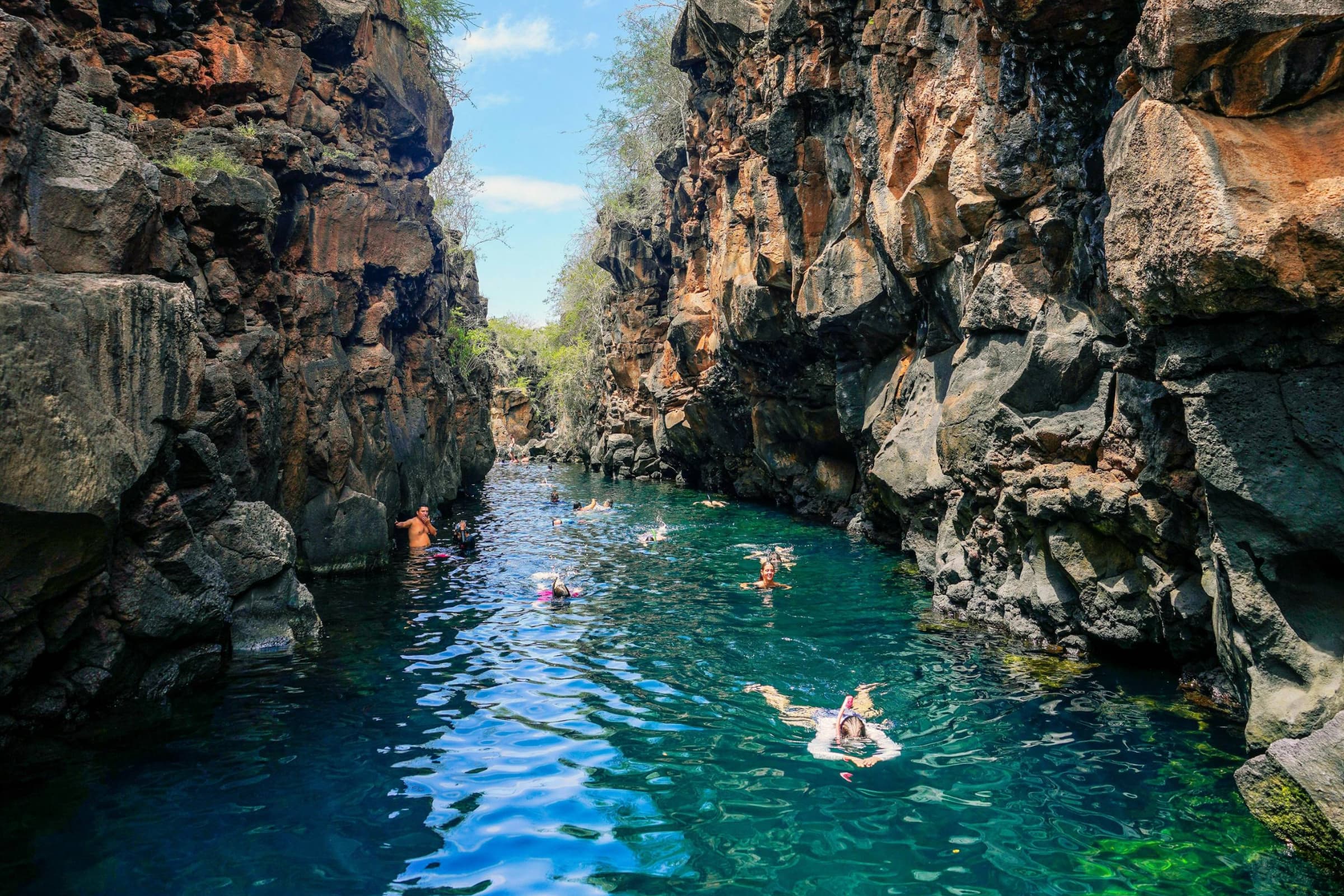 Galapagos highlight 1