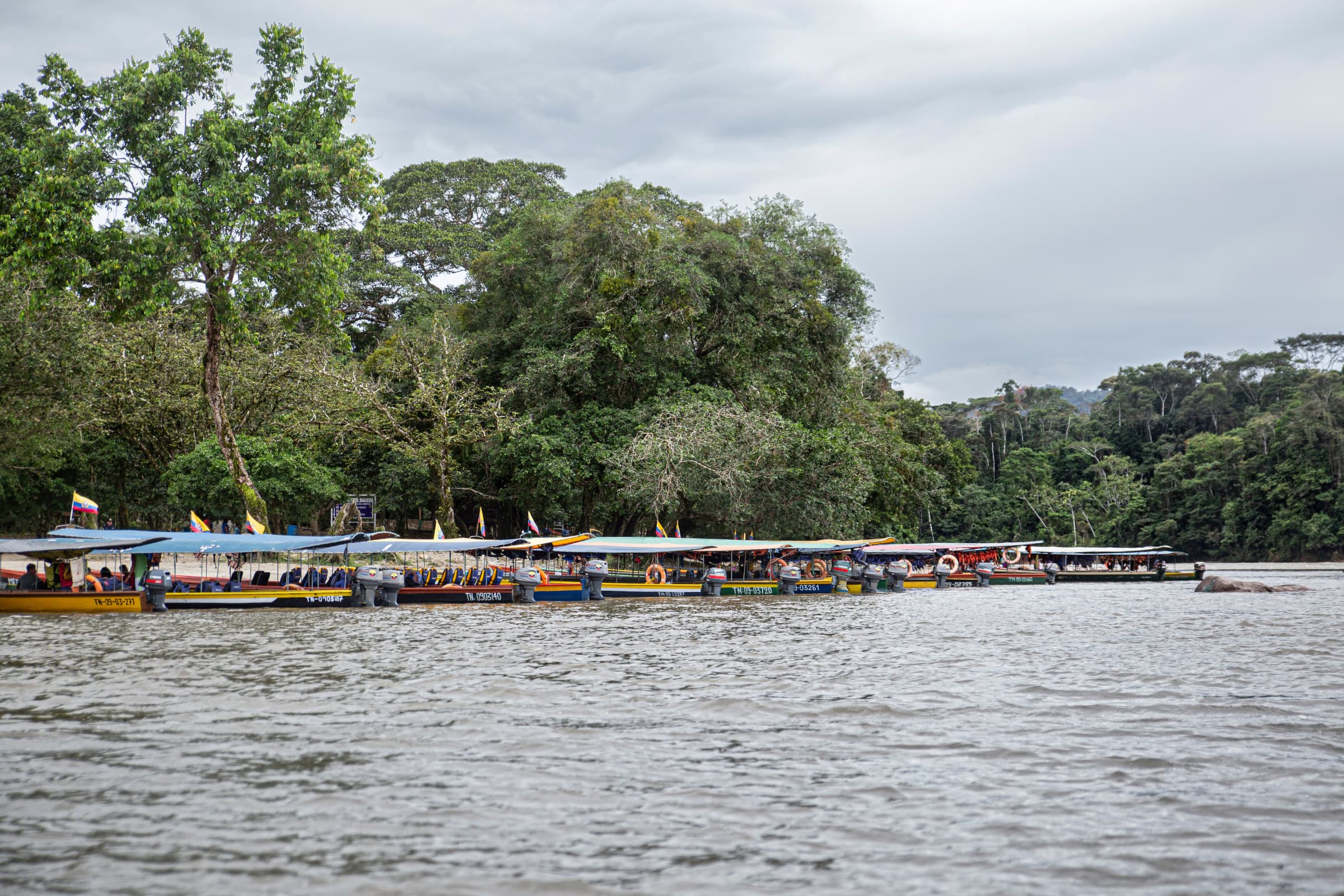 Misahuallí highlight 5