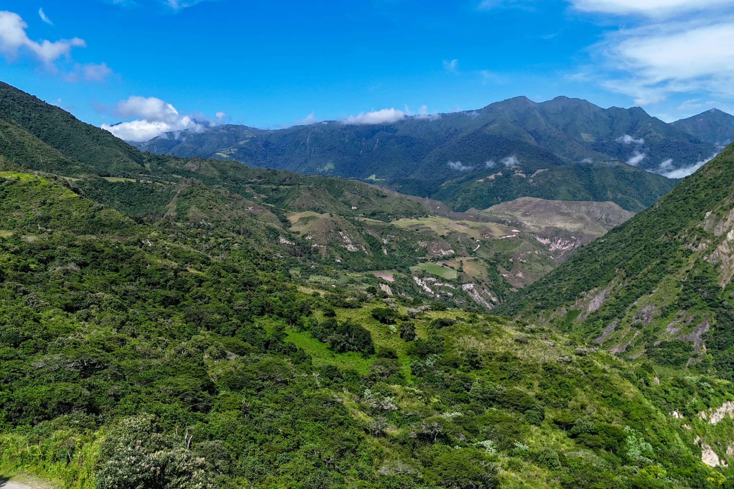 Nature gallery image 10