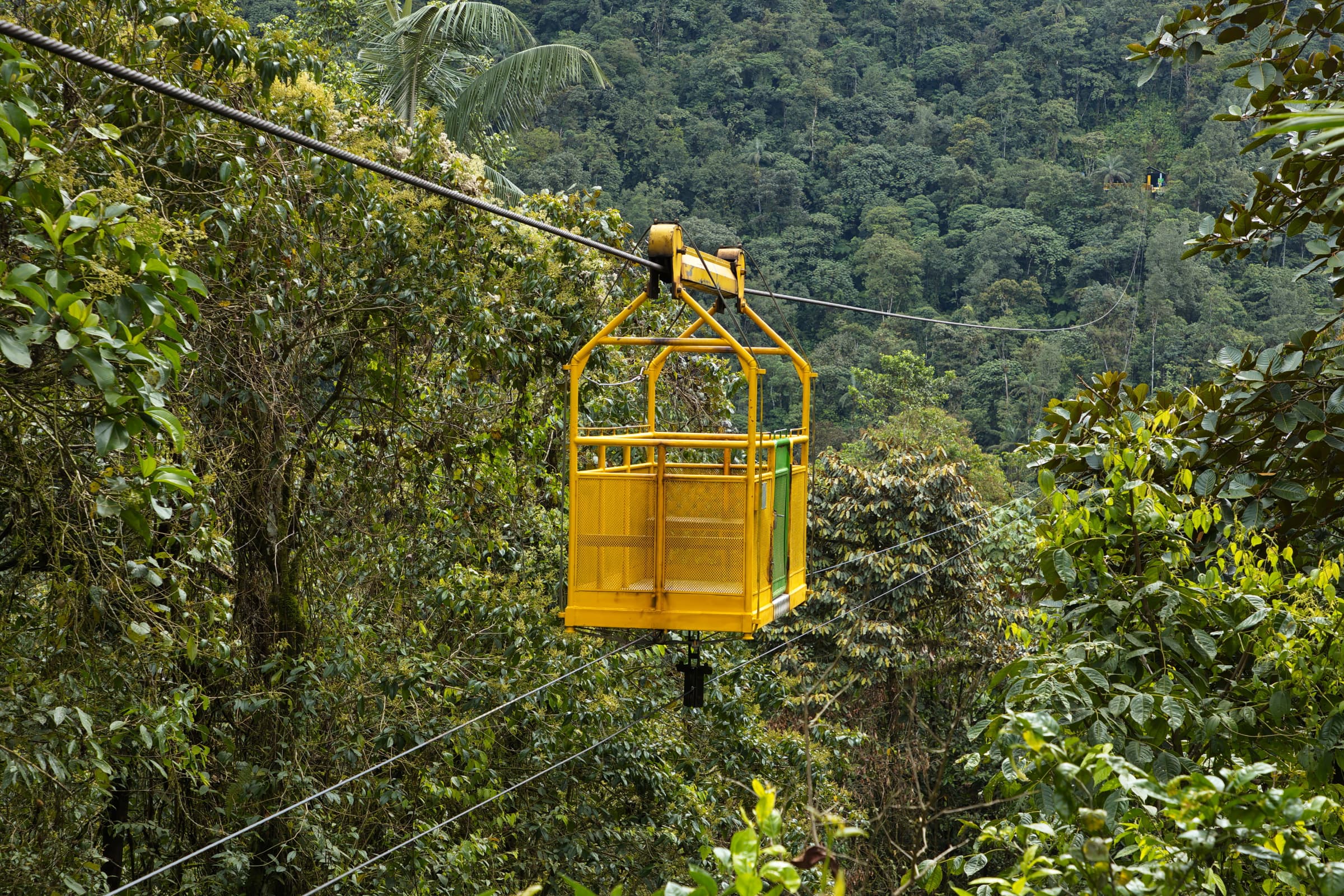 Nature gallery image 2