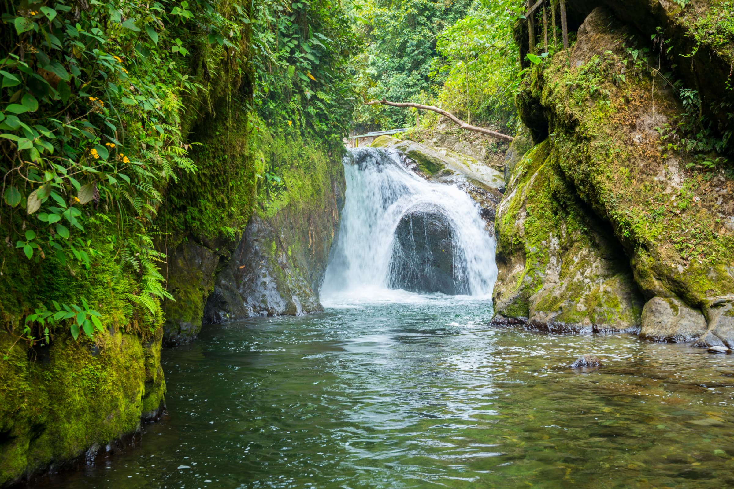 Nature gallery image 4