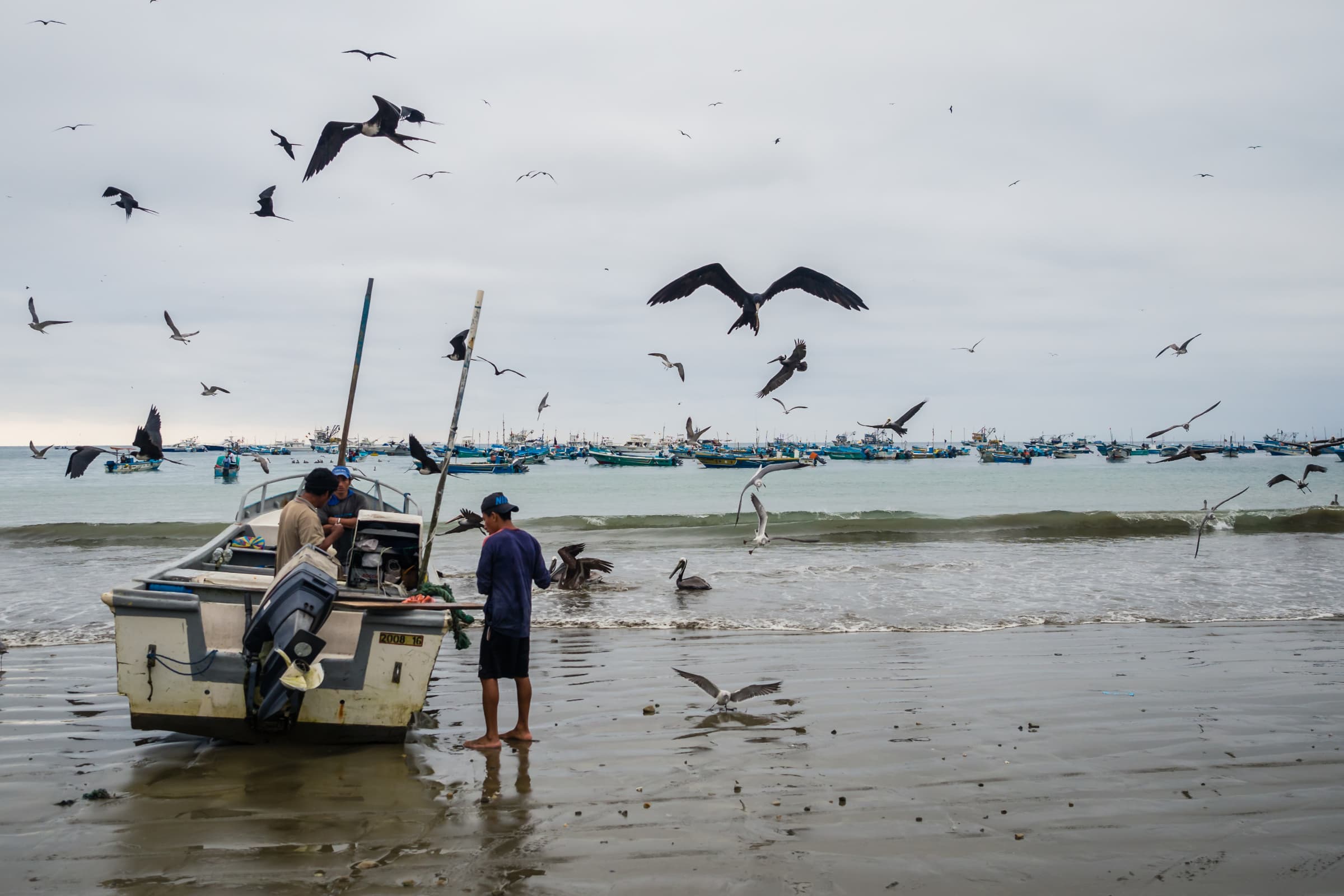 Puerto López highlight 4
