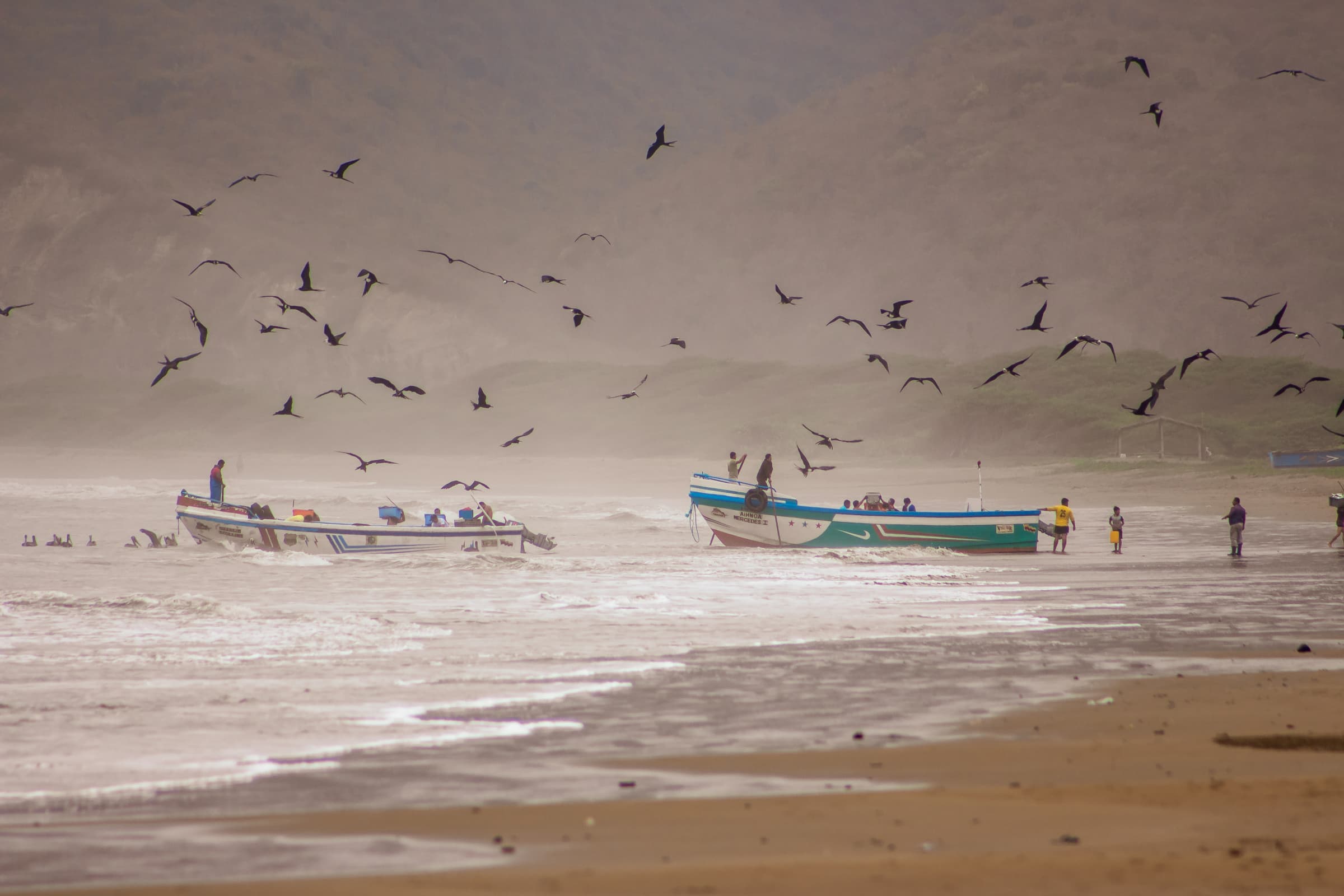 Puerto López highlight 5