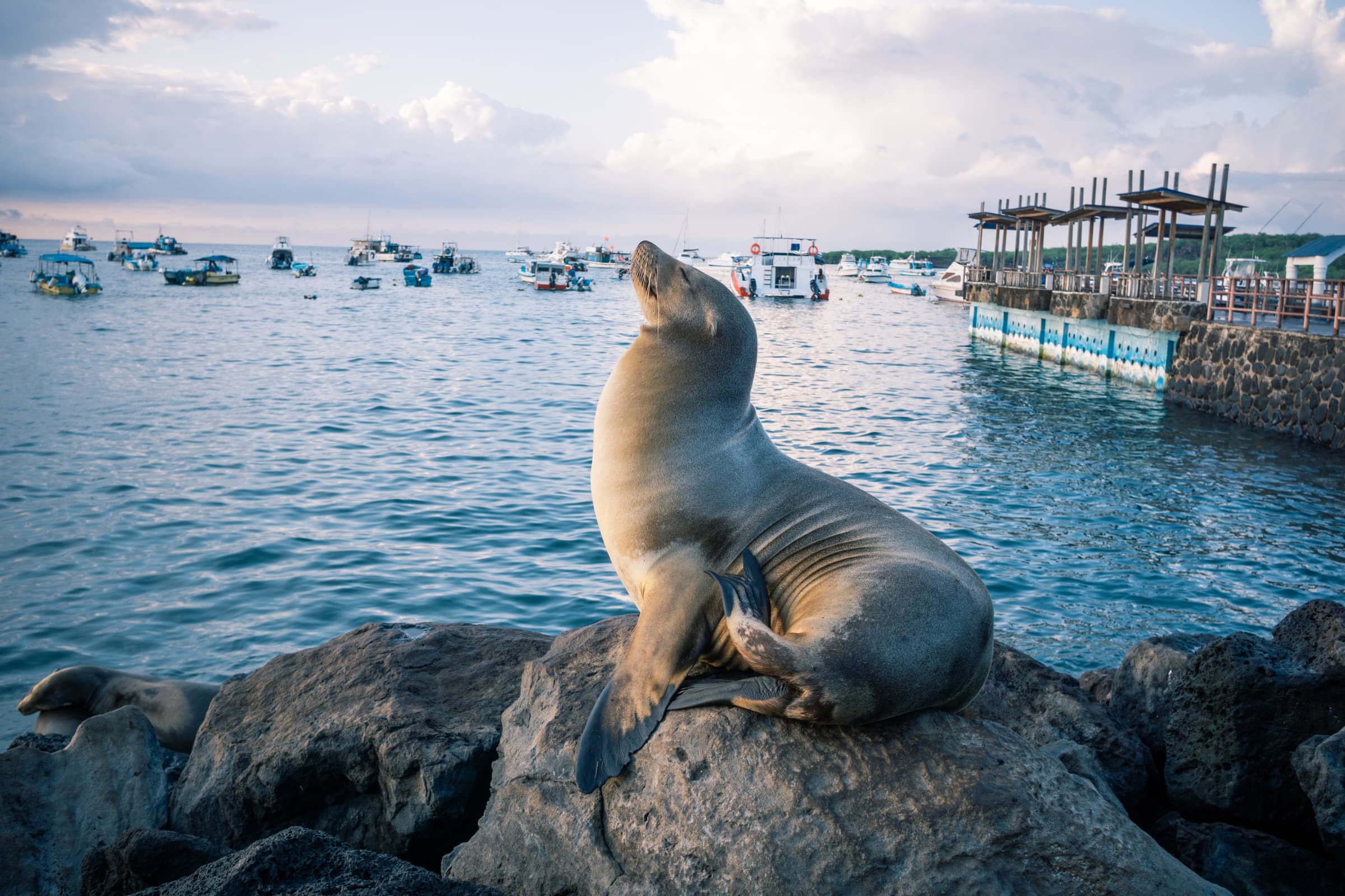 San Cristóbal highlight 6
