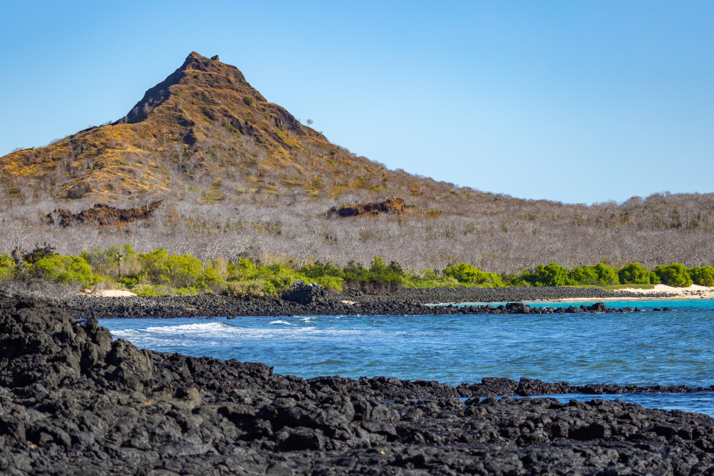 Santa Cruz highlight 4