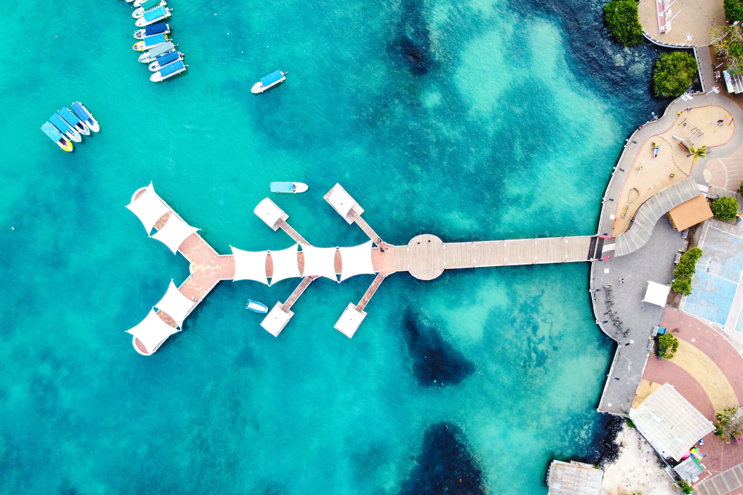 Santa Cruz highlight 6