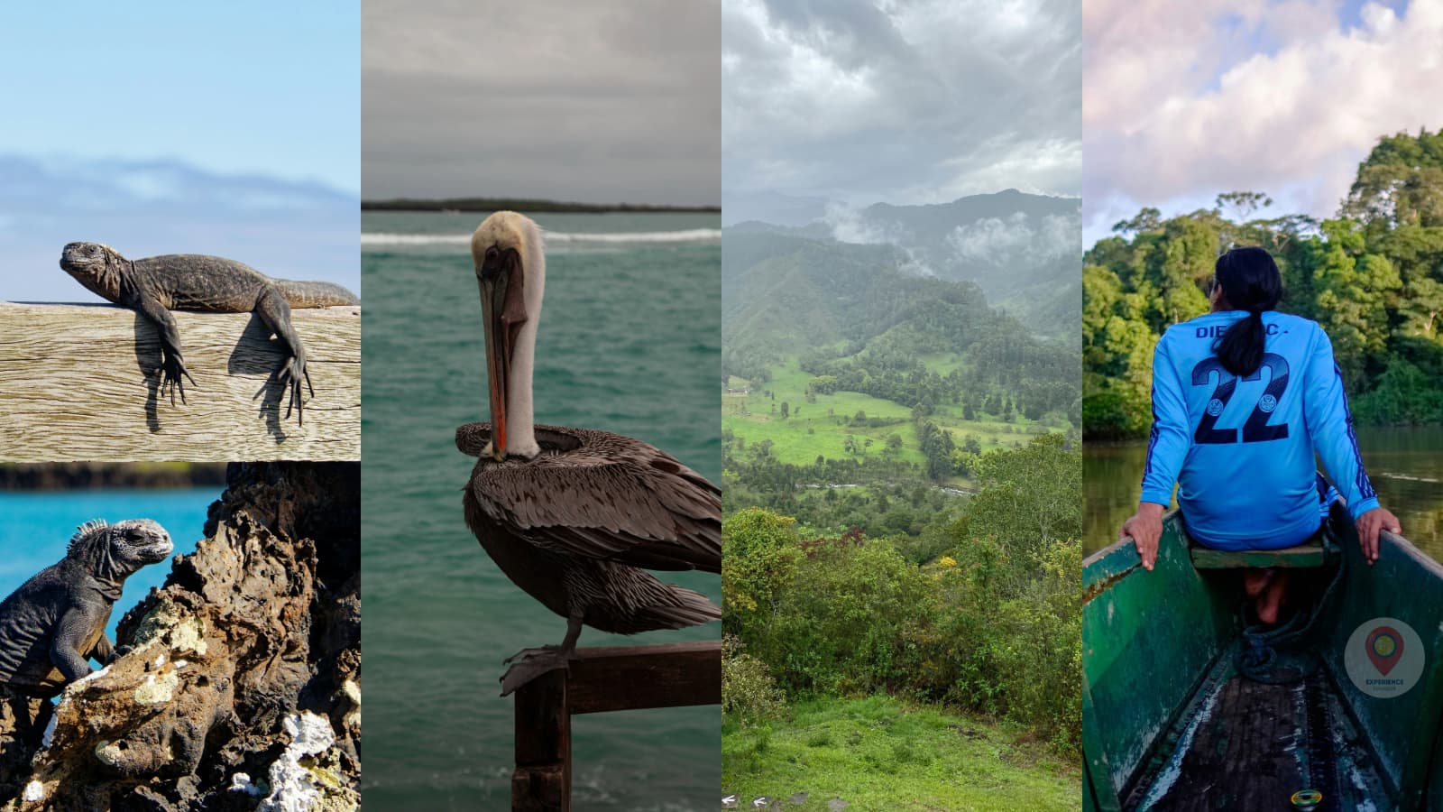 Relaxation in Ecuador