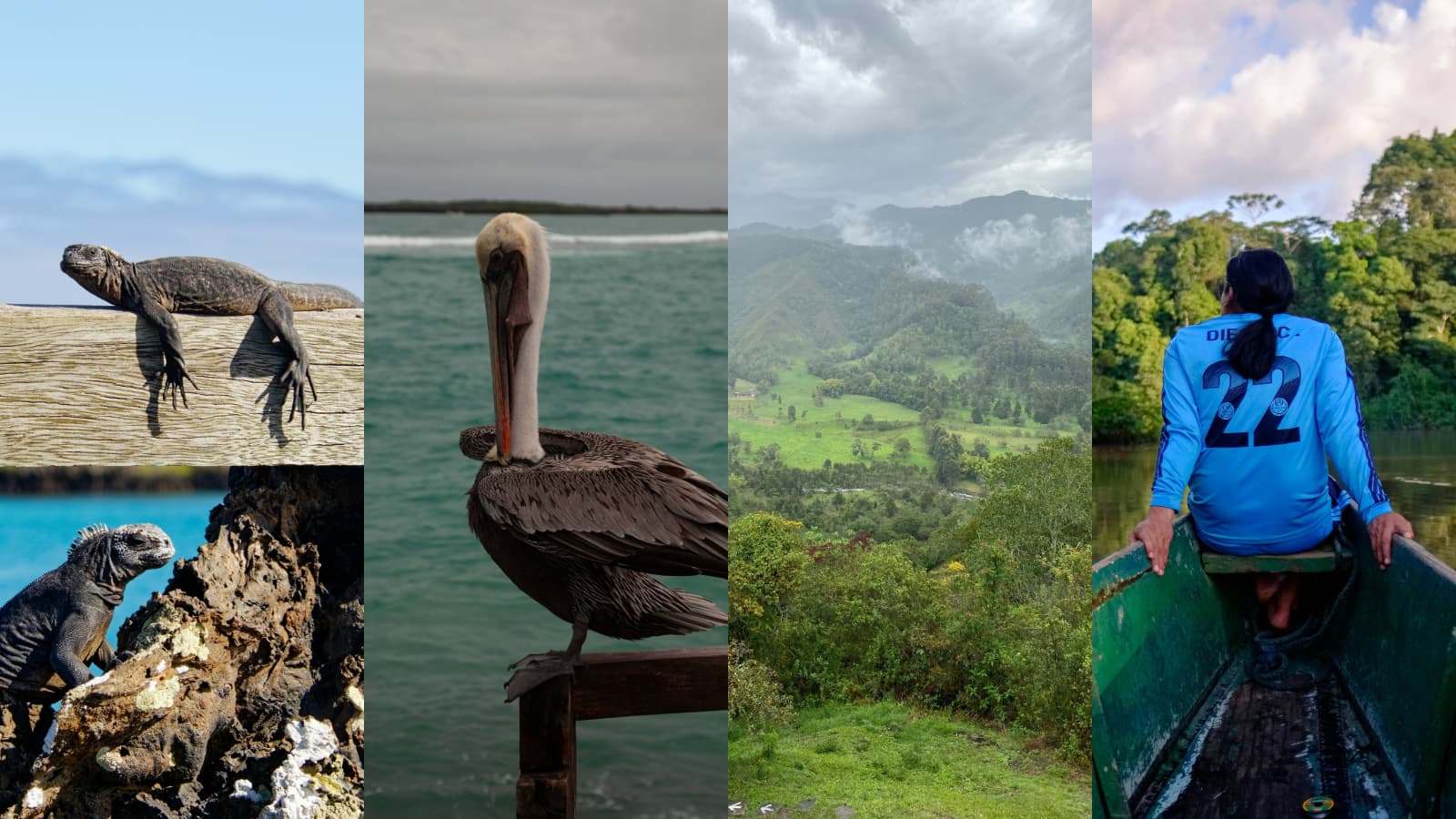 Relaxation in Ecuador