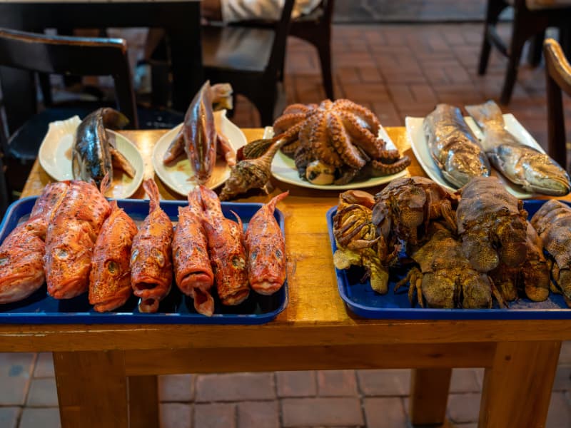 Fresh catch of the day