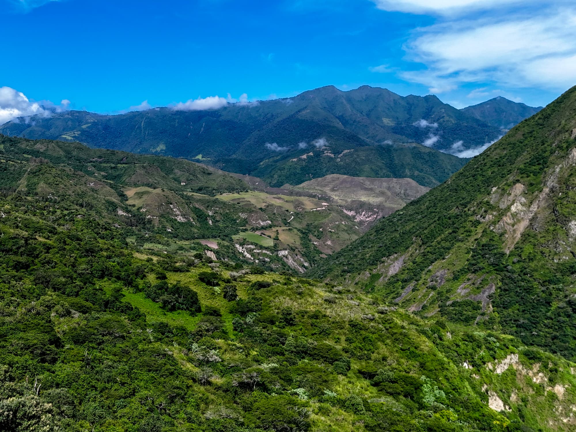 Closing visual from Chocó Andino, Ecuador with cloud forest atmosphere