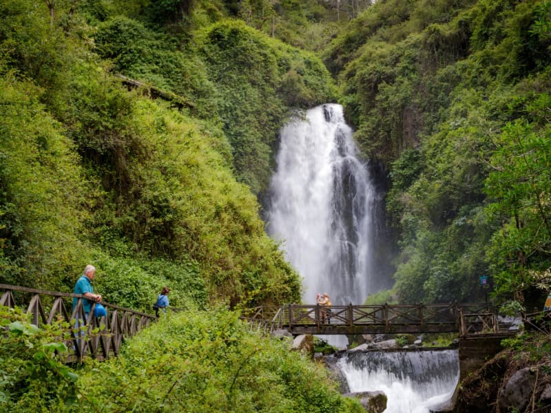 Terms and conditions graphic