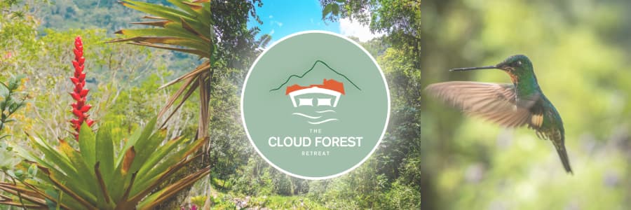 The Cloud Forest Retreat in the cloud forest