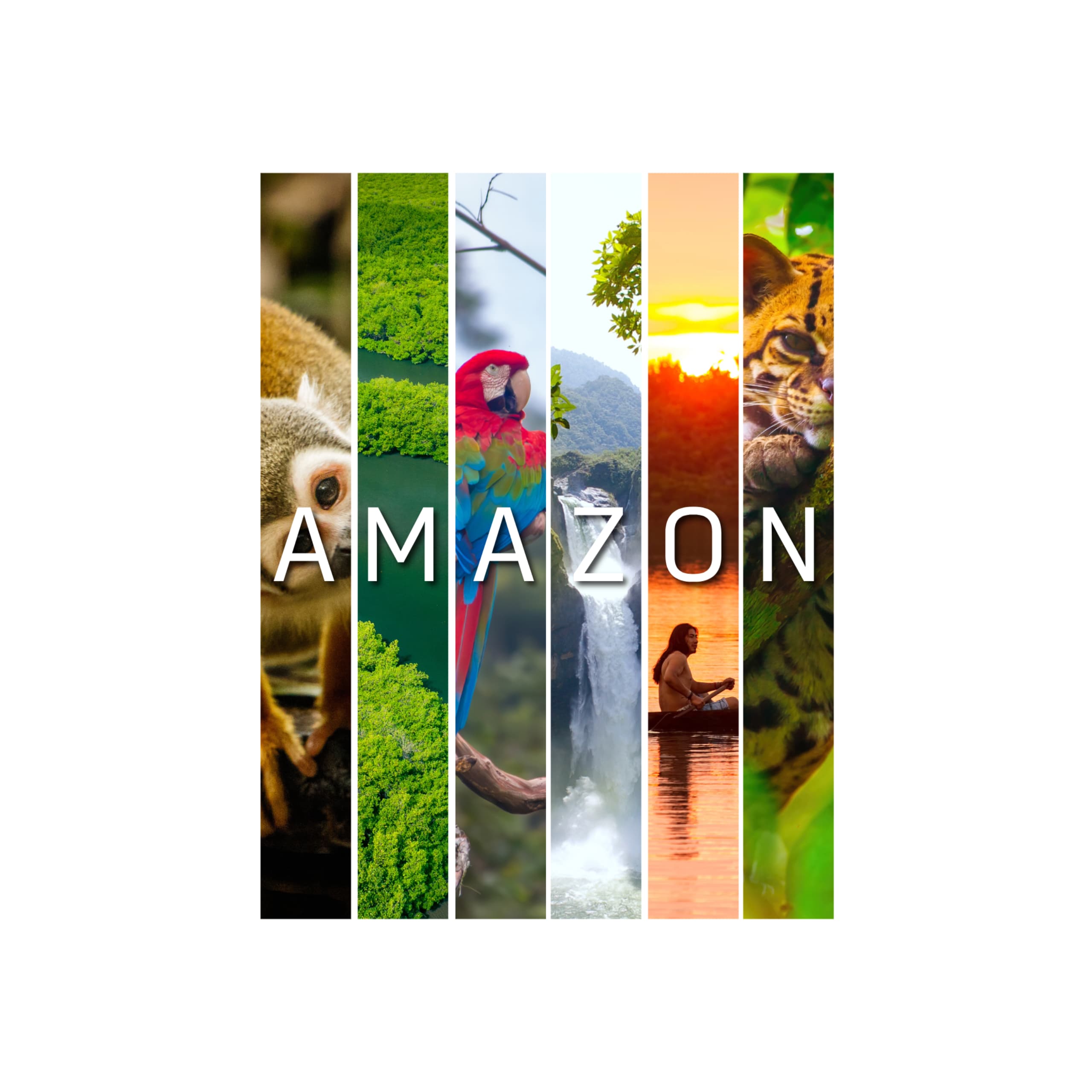 Partner listing preview: filters by category and experience