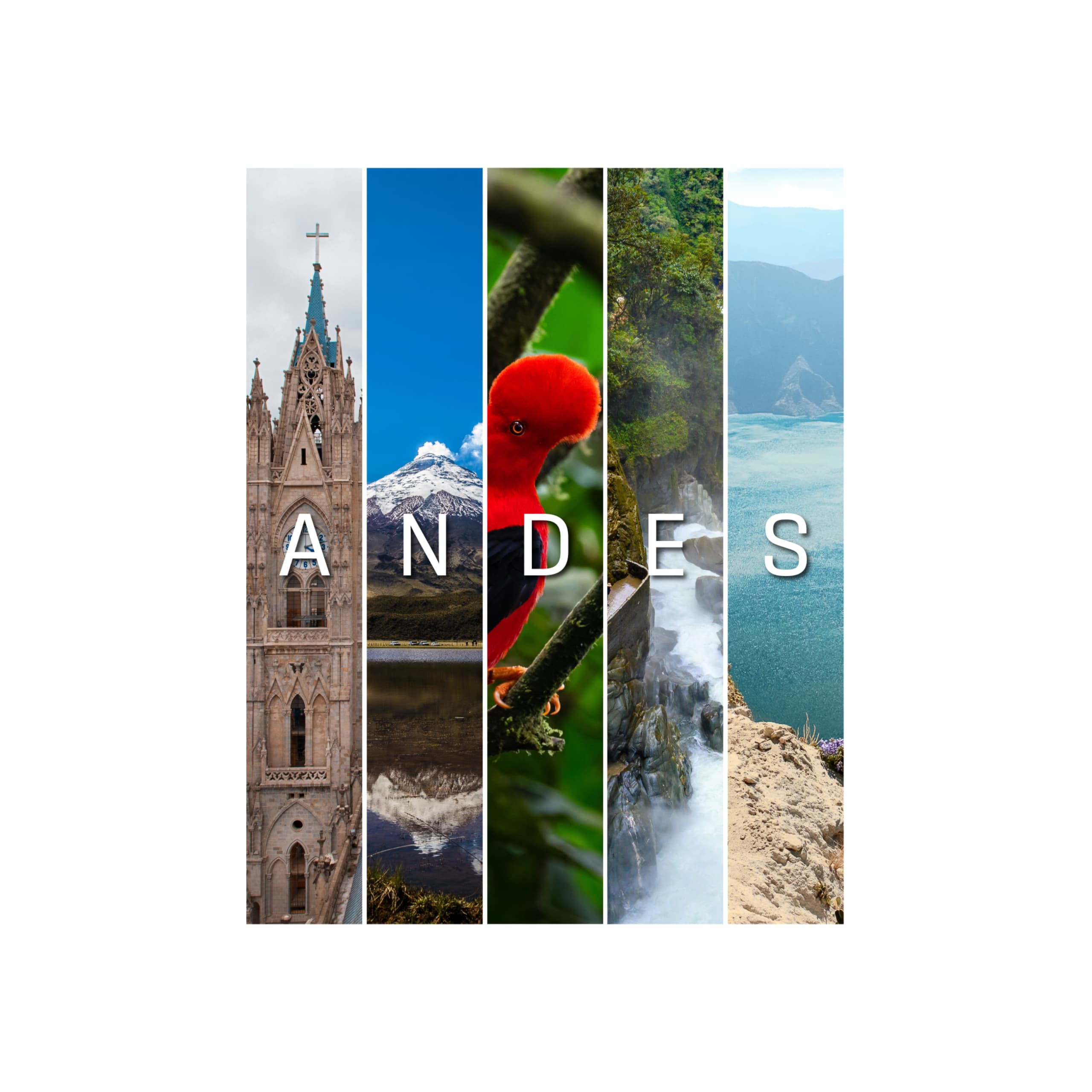 Partner listing preview: placement in experiences and regions