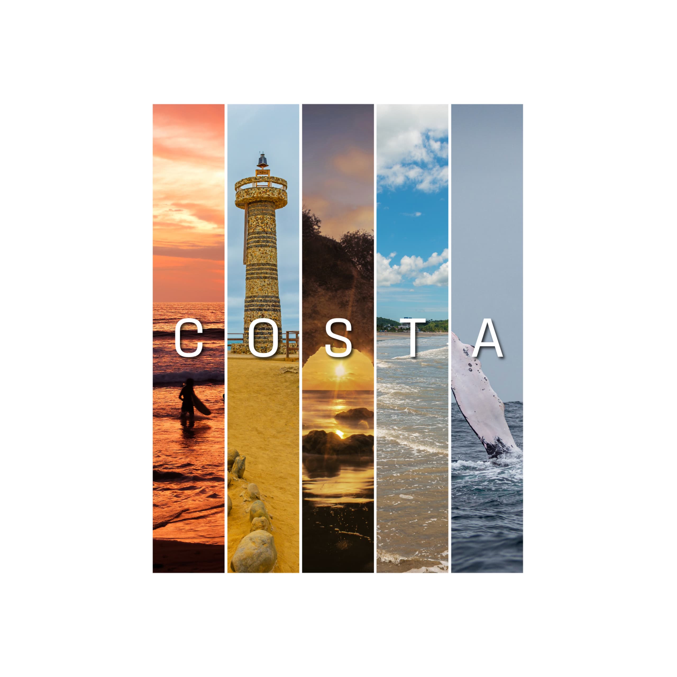 Partner listing preview: direct contact buttons