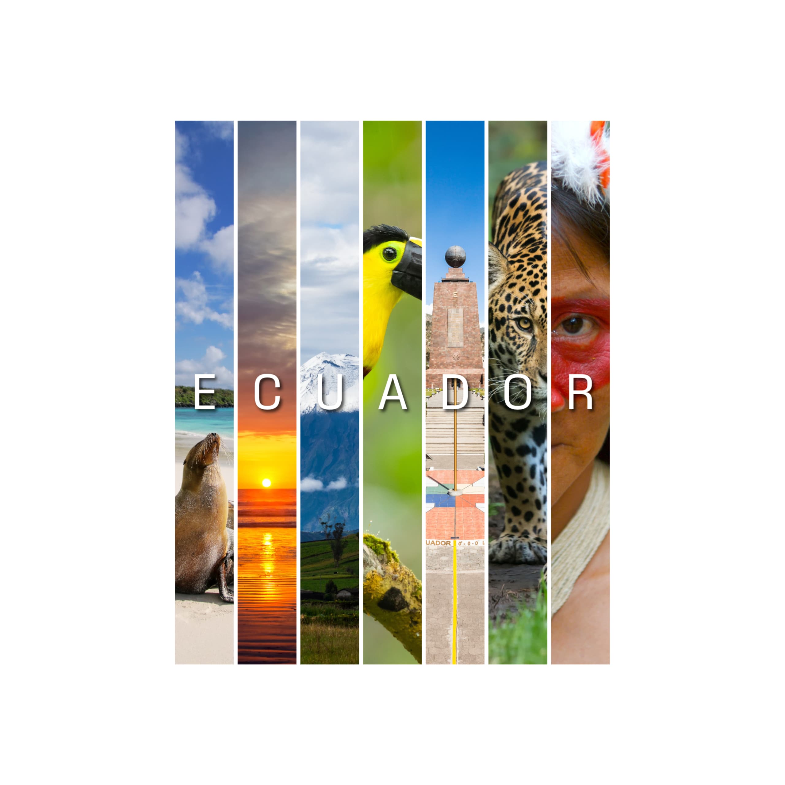 Partner listing preview: business card layout