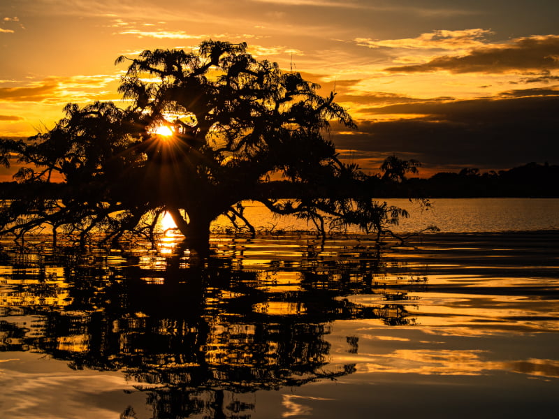 Cuyabeno Wildlife Reserve