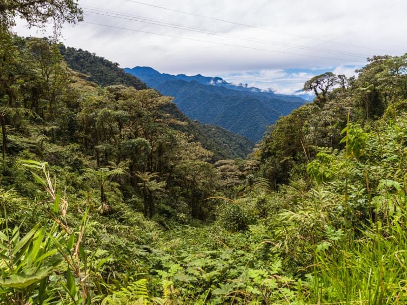 Mindo, Ecuador