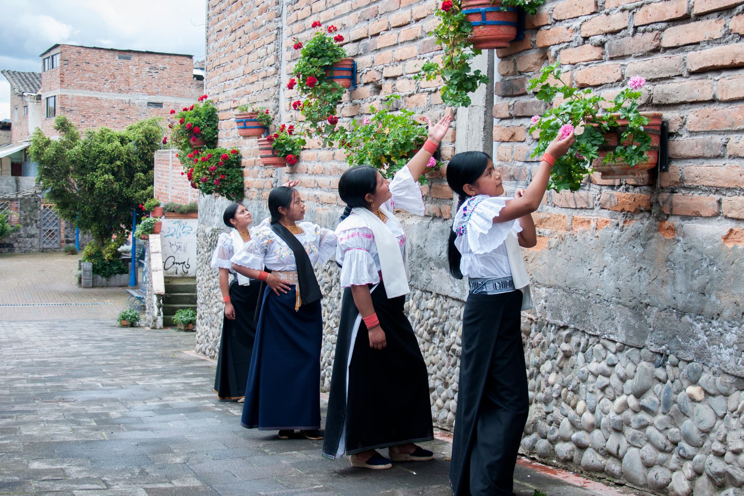 Cotacachi highlight 1