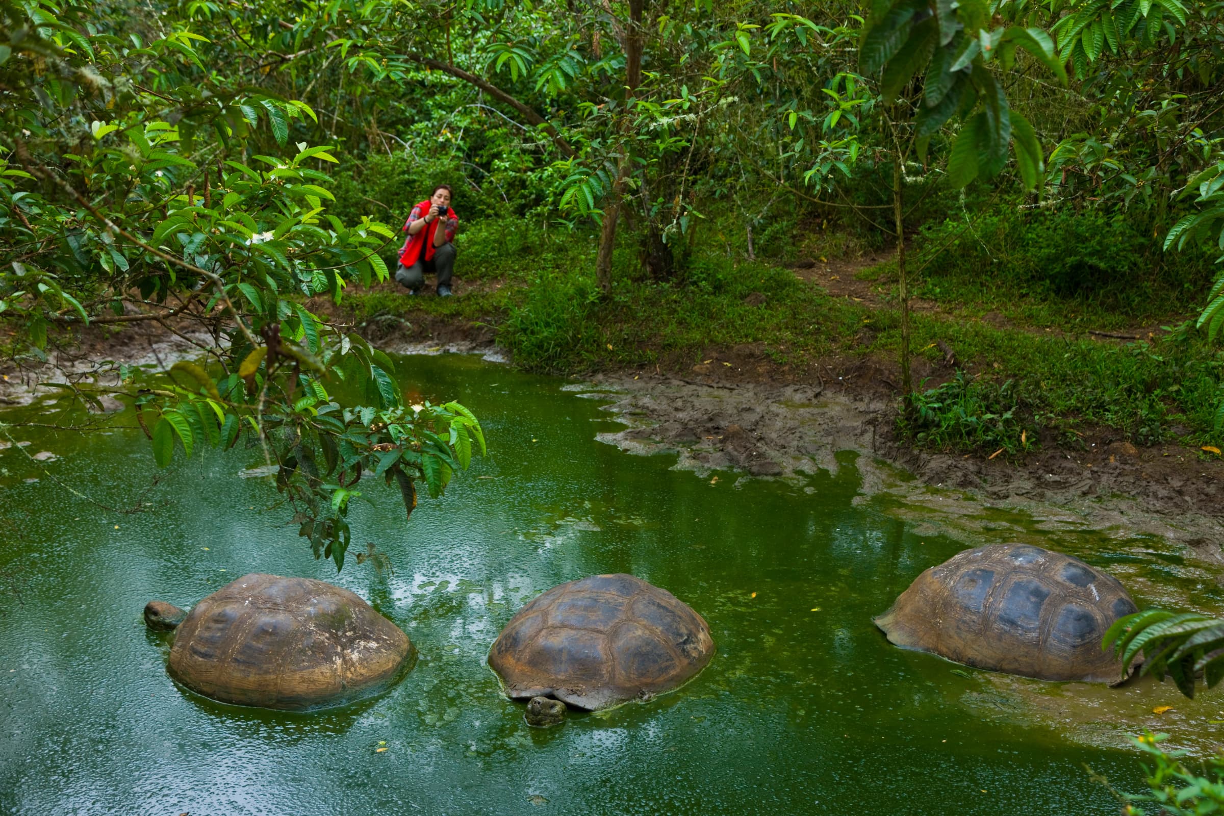 Floreana highlight 4