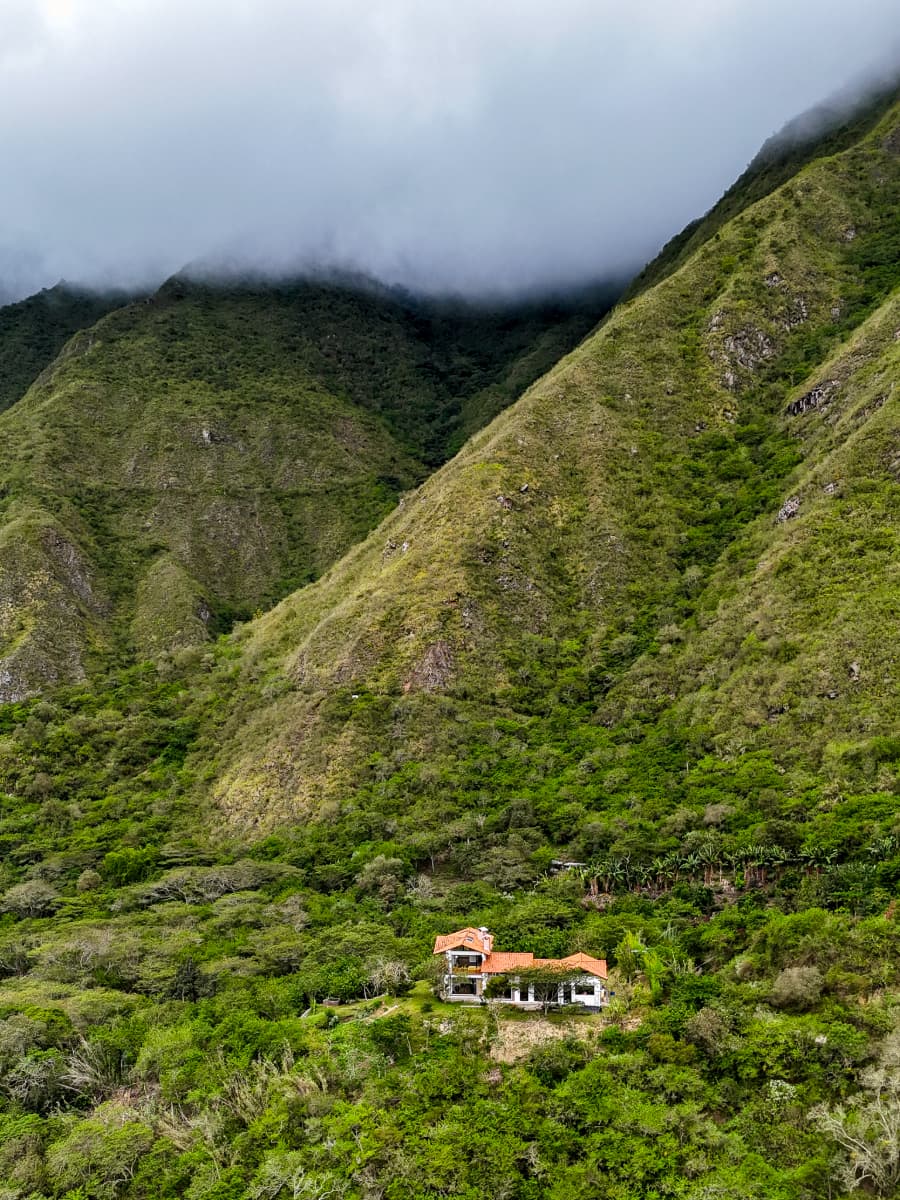 Cloud forest exploration setting near Quito at The Cloud Forest Retreat