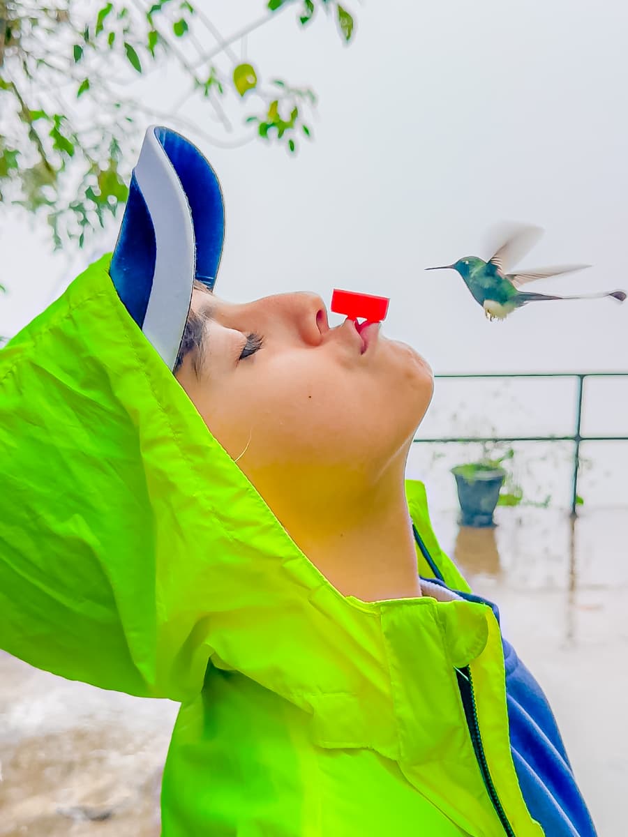 Nature and waterfall setting near Mindo Bird Watching tours