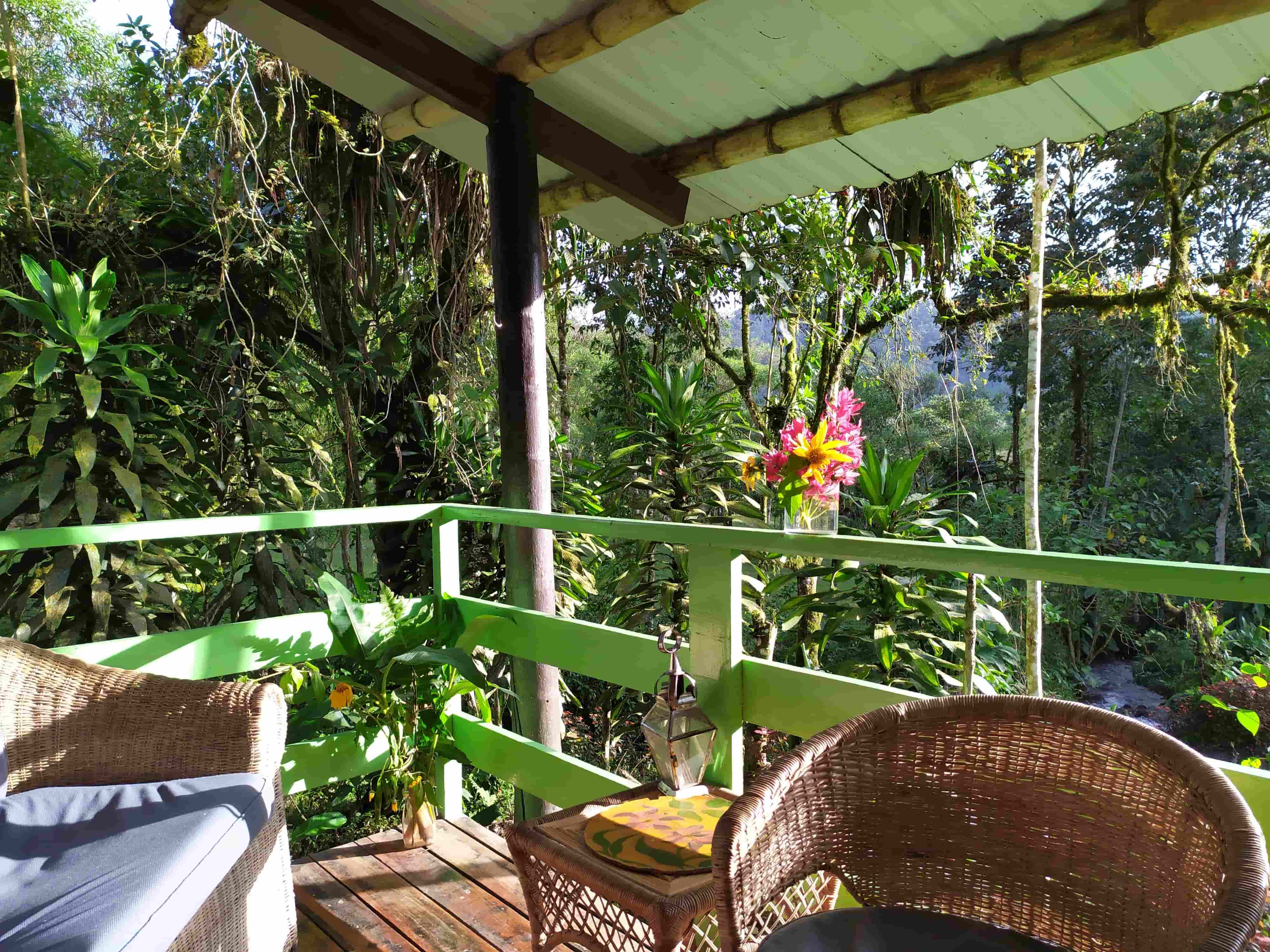 Nature-rich outdoor setting around Mindo Eco Chalet