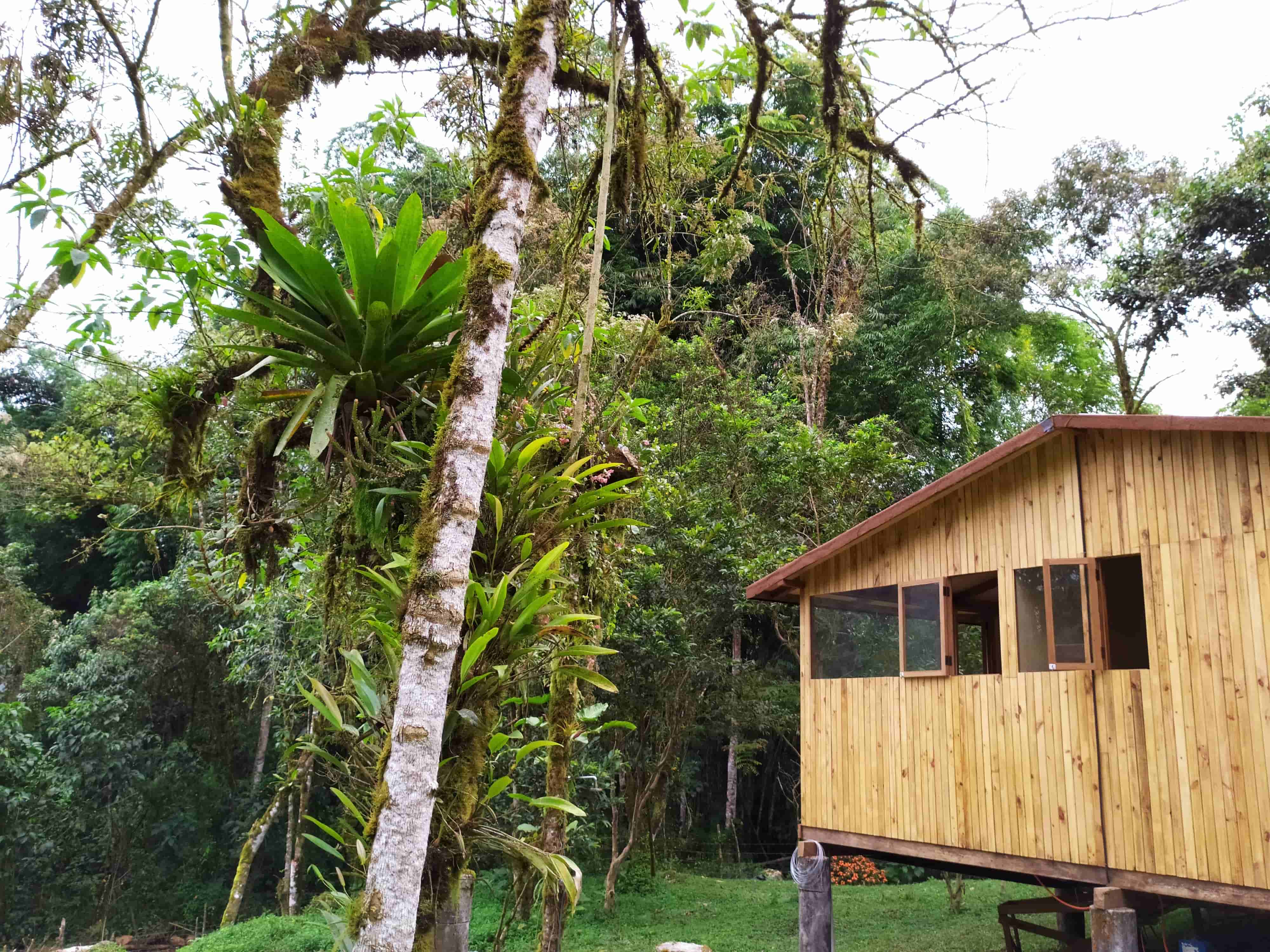 Comfortable cabin setting at Mindo Eco Suite with outdoor amenities